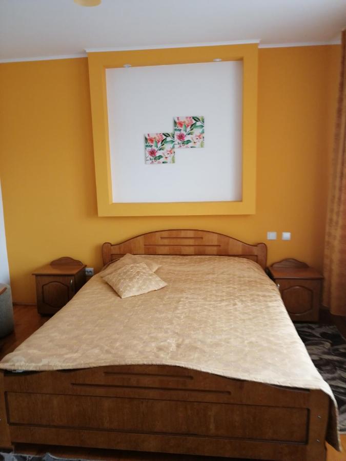Guest house Pensiunea Lucia Ana