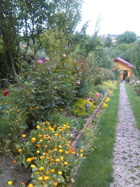 Guest house Pensiunea Lucia Ana Cluj-Napoca