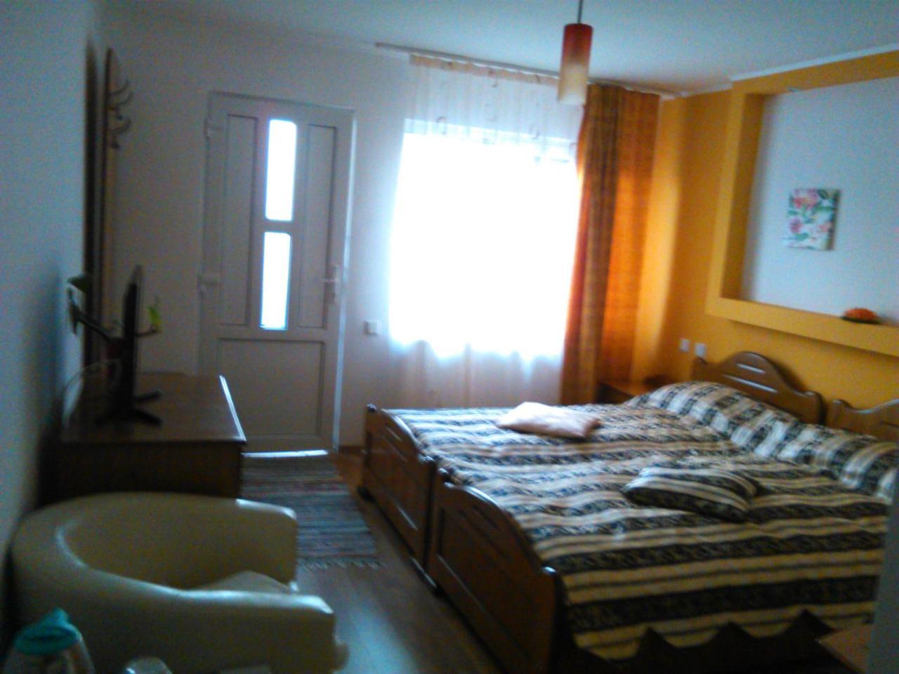 Pensiunea Lucia Ana Guest house *
